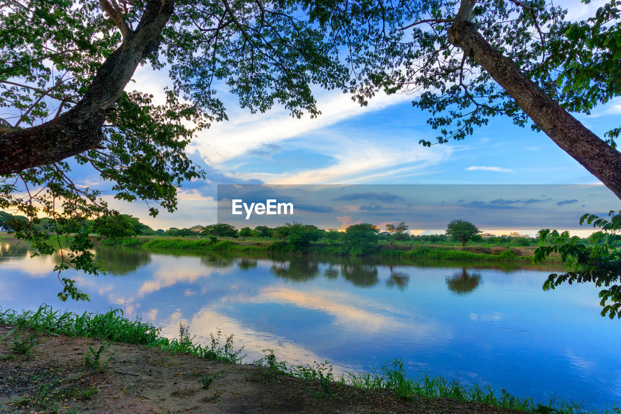 REFLECTION OF TREES IN LAKE AGAINST SKY