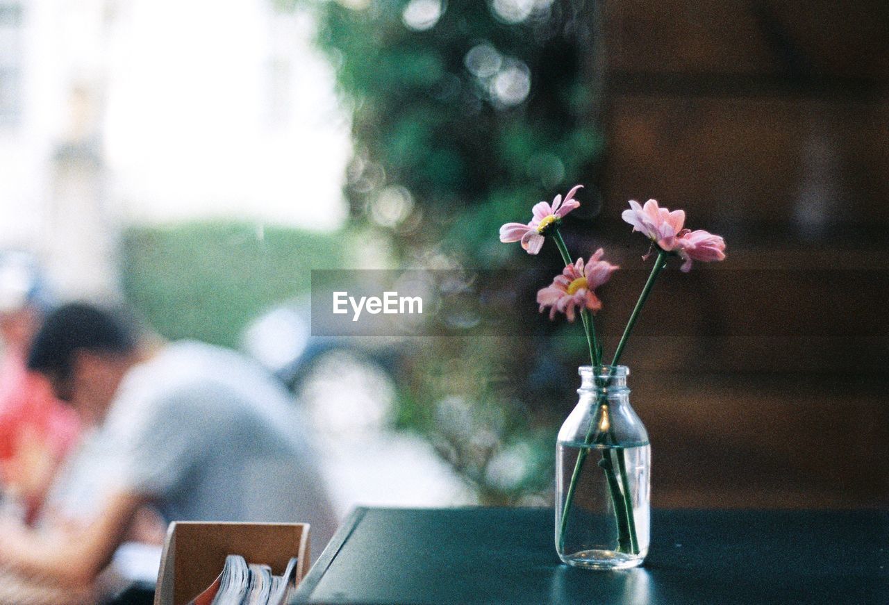 Close-up of pink flowers in a vase on a table in cafe with defocussed man in background