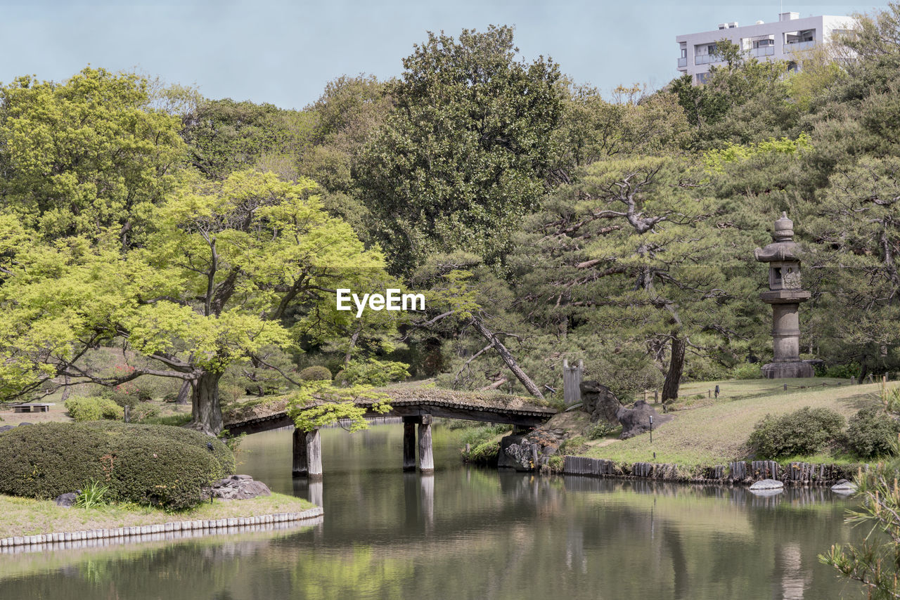 The wooden japanese bridge dentsuru bride on the pond of rikugien park in tokyo.