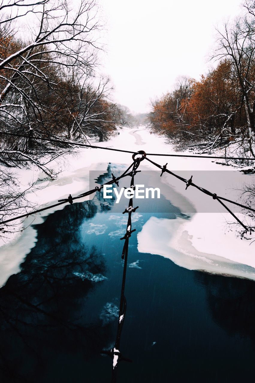 FROZEN TREE AGAINST SKY