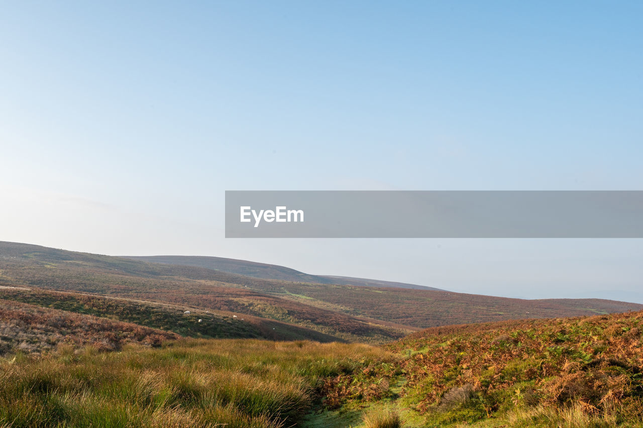 SCENIC VIEW OF LANDSCAPE AGAINST CLEAR SKY