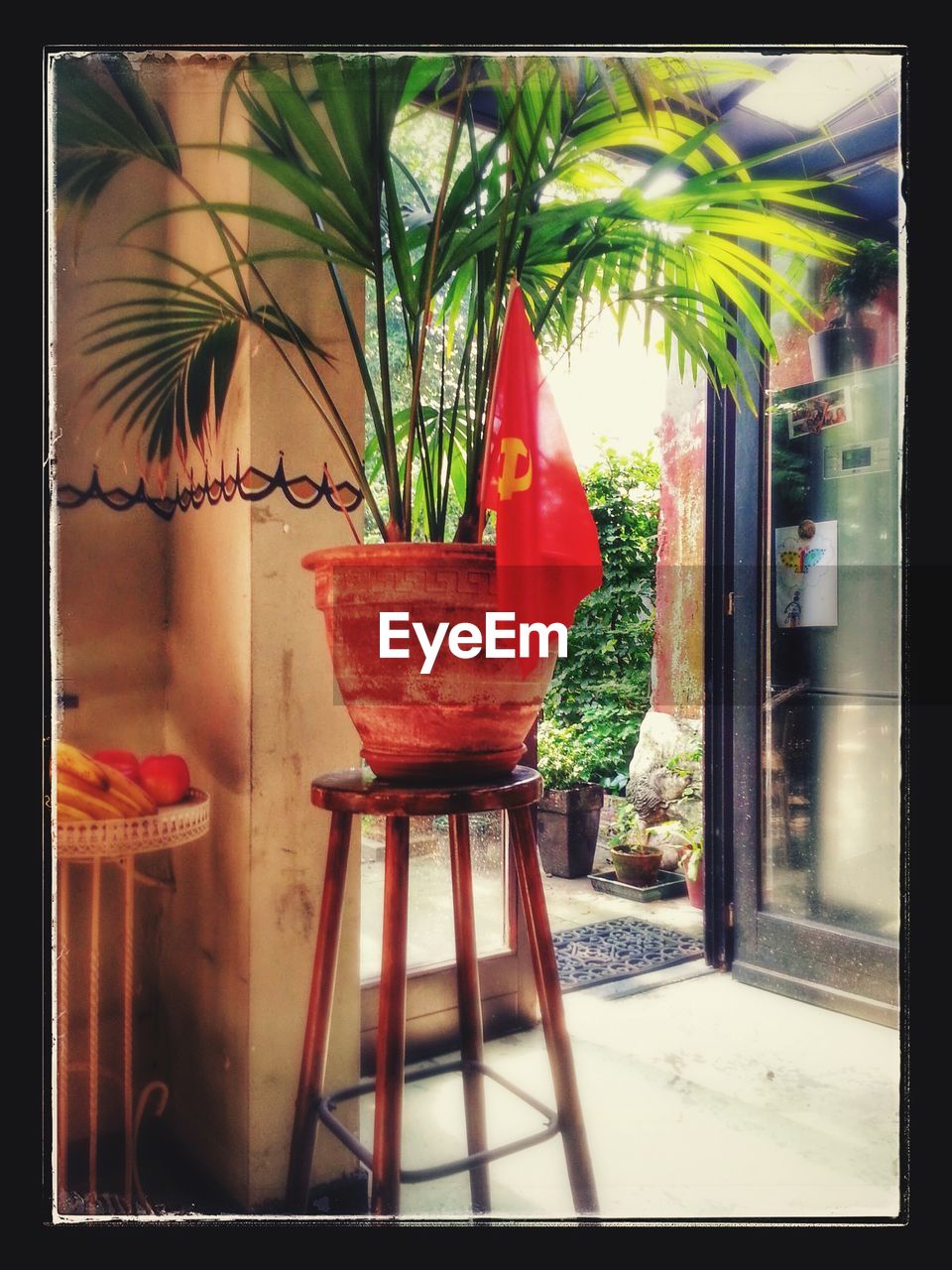 CLOSE-UP OF POTTED PLANT ON TABLE