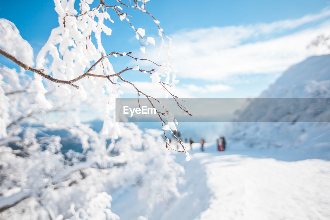 scenic view of snow covered mountains against sky