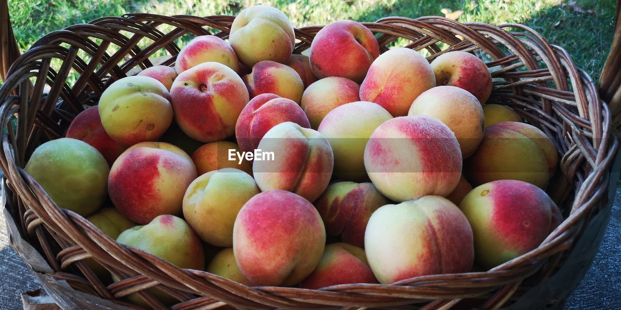 HIGH ANGLE VIEW OF FRESH FRUITS IN BASKET