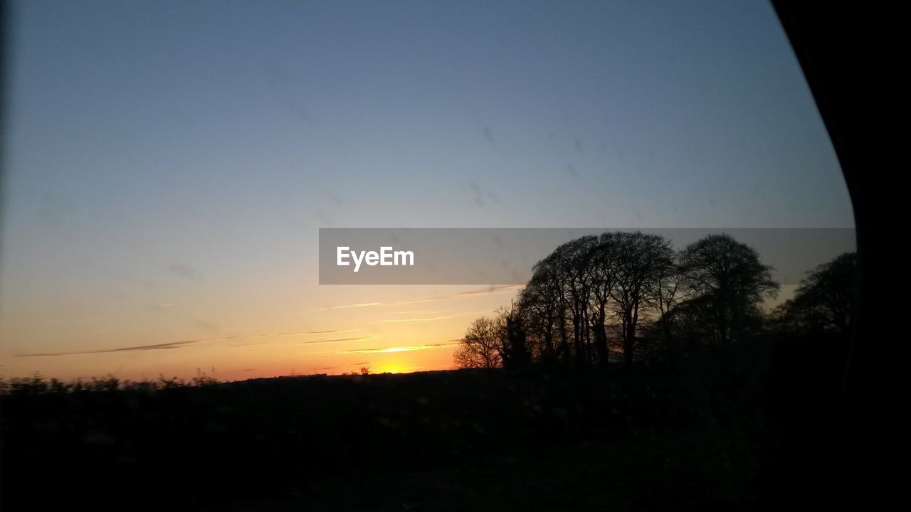 SILHOUETTE OF TREES ON FIELD AT SUNSET