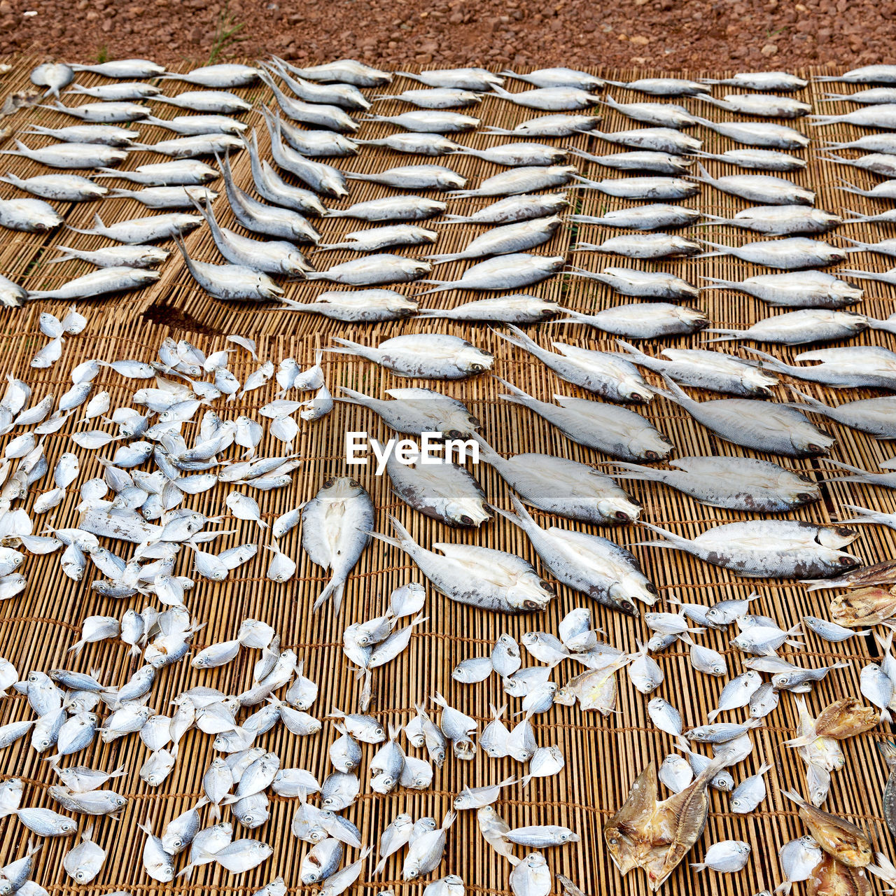 HIGH ANGLE VIEW OF FISHING NET