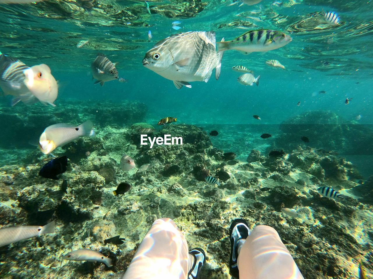 People swimming in sea