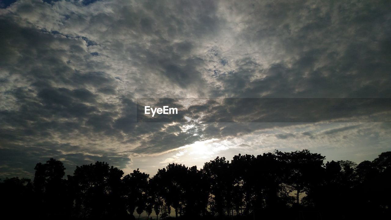 SILHOUETTE OF TREES AGAINST CLOUDY SKY