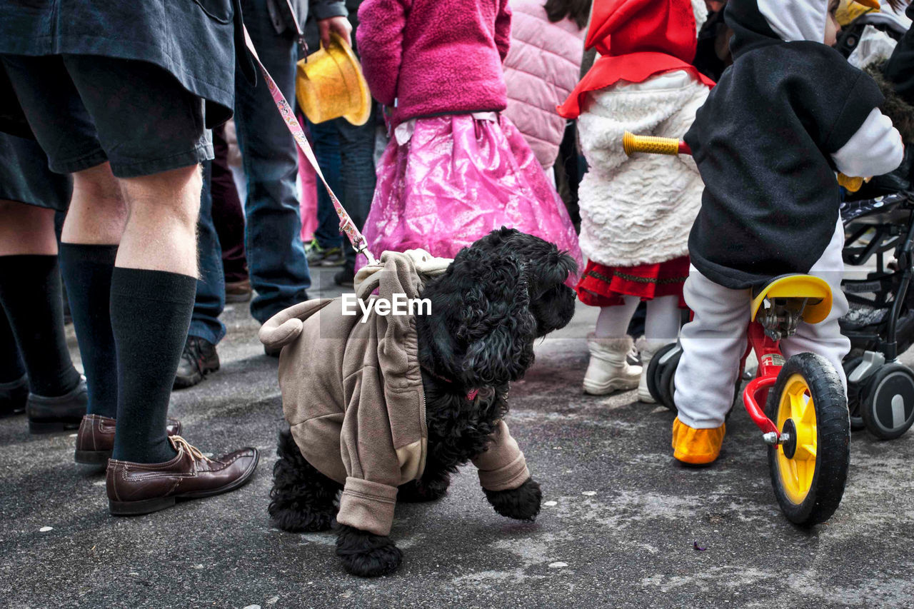 Low section of people walking with dog on street