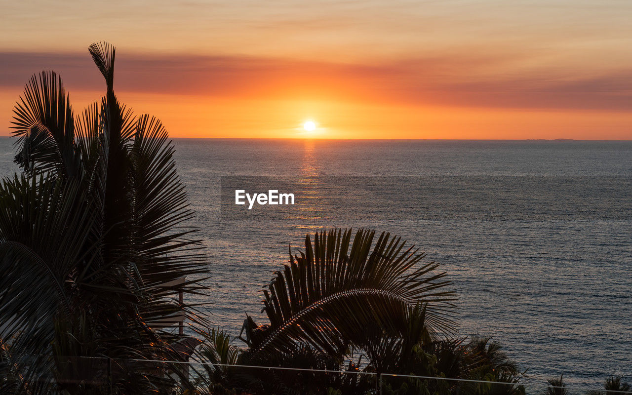 sunset, sky, water, sea, beauty in nature, scenics - nature, nature, horizon over water, tranquility, horizon, ocean, tranquil scene, evening, sun, tropical climate, coast, cloud, orange color, idyllic, plant, palm tree, dusk, beach, sunlight, no people, land, tree, shore, silhouette, travel destinations, outdoors, dramatic sky, travel, environment, seascape, non-urban scene, urban skyline
