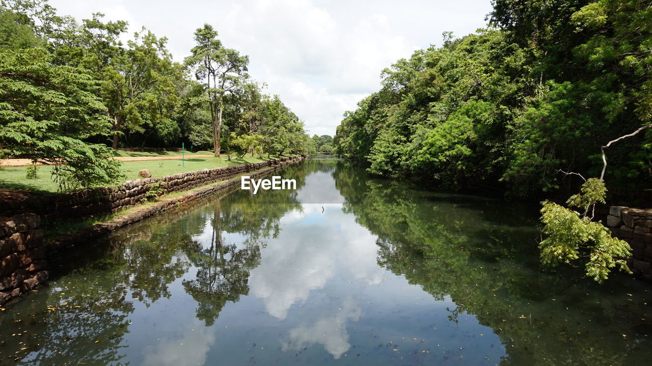 Scenic view of lake amidst trees against sky