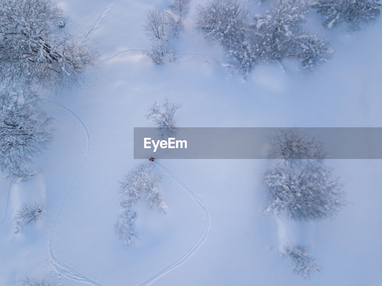 HIGH ANGLE VIEW OF SNOW COVERED TREES ON FIELD