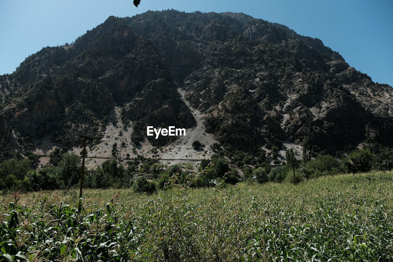 SCENIC VIEW OF FIELD AGAINST MOUNTAIN