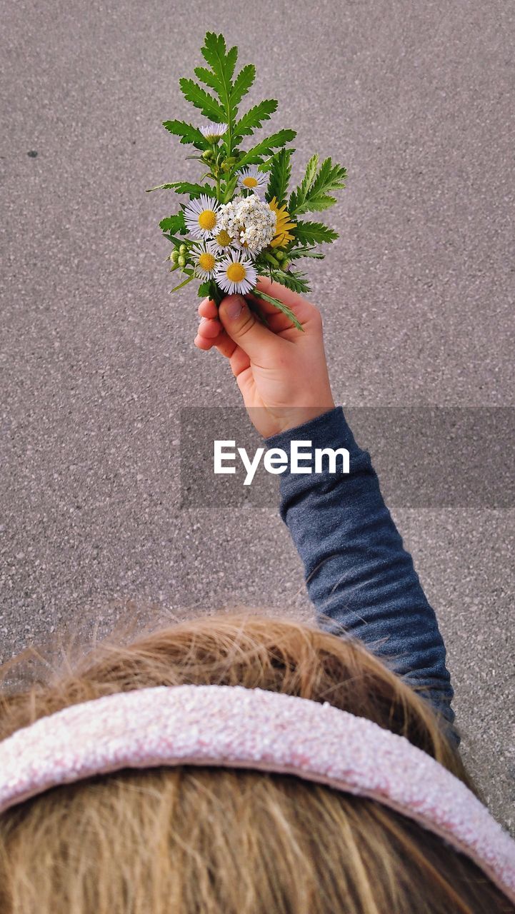 High angle view of woman holding flower and leaves