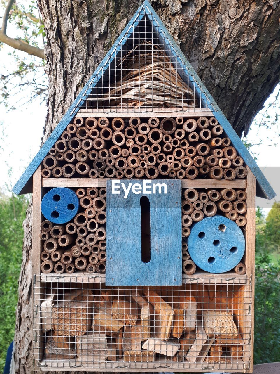 Close-up of birdhouse on tree trunk