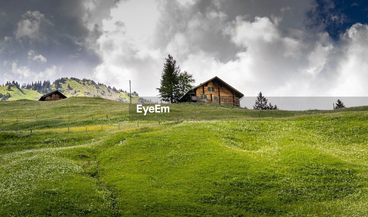 PANORAMIC VIEW OF HOUSES ON FIELD AGAINST SKY