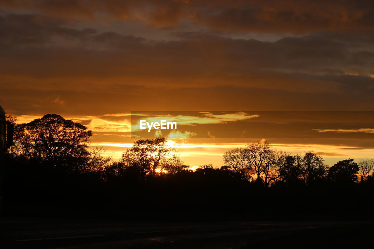 SCENIC VIEW OF SILHOUETTE TREES AGAINST DRAMATIC SKY