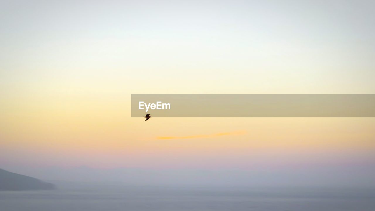 Scenic view of silhouette bird flying over sea against sunset sky