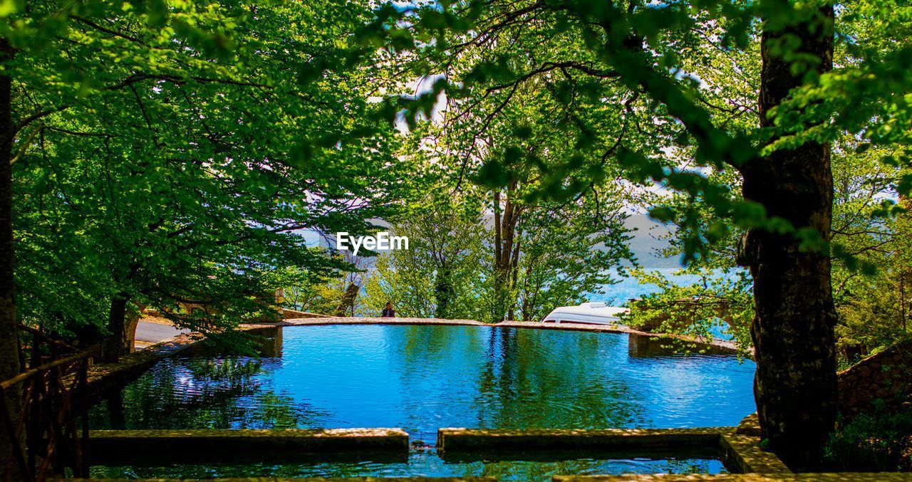 SCENIC VIEW OF TREES BY POND