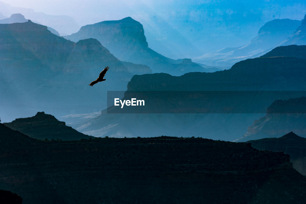 Silhouette bird flying over mountains against sky