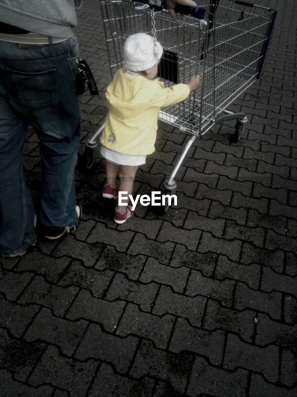 Little girl pushing shopping cart