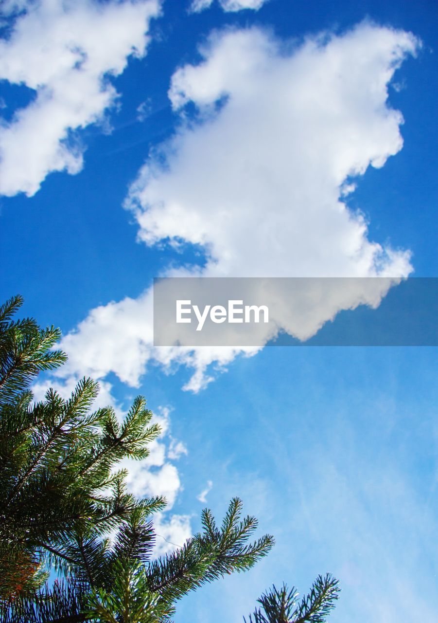 Low angle view of trees against cloudy sky