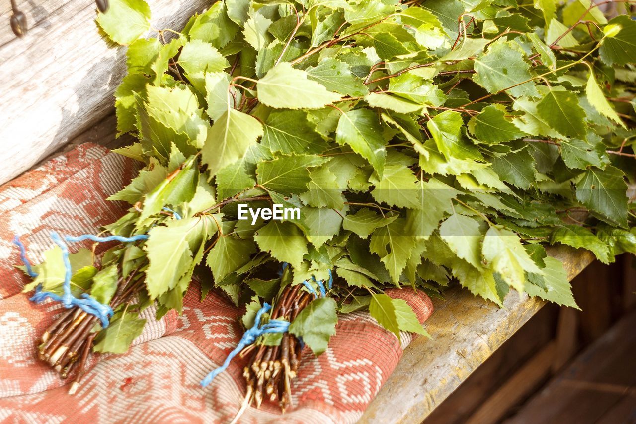 High angle view of plants on table