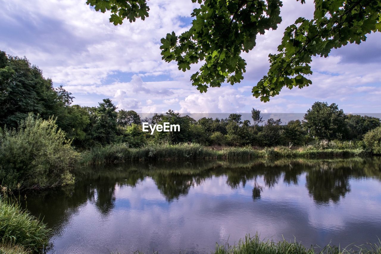 Reflection of trees in lake against sky