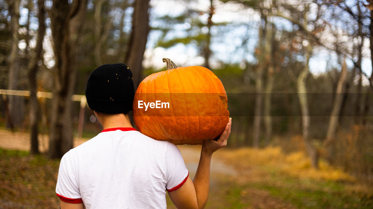 rear view of man holding pumpkin in forest