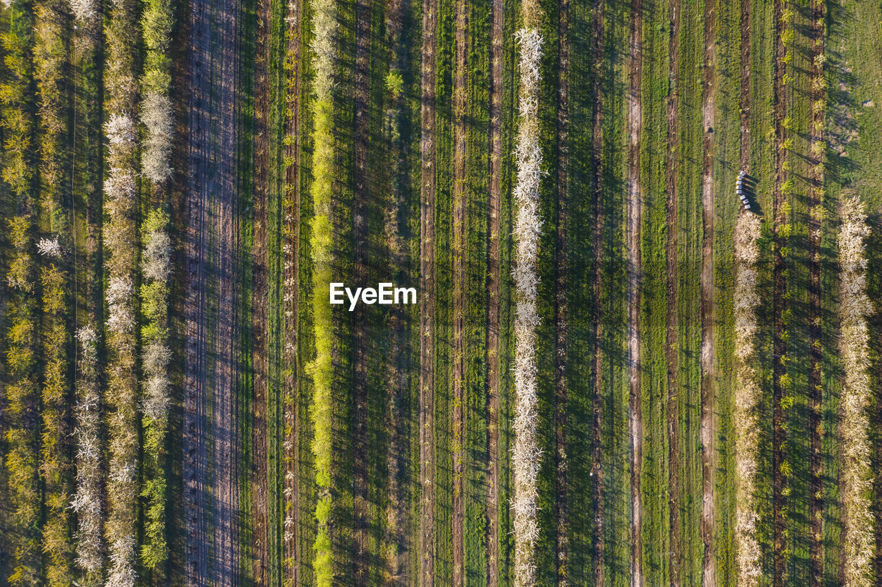 Panoramic view of rural landscape