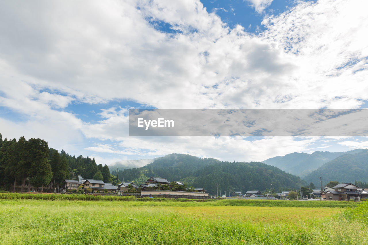landscape, environment, mountain, sky, plant, cloud, land, scenics - nature, meadow, rural scene, field, nature, beauty in nature, agriculture, pasture, mountain range, grassland, rural area, grass, farm, plain, rice paddy, rice, crop, tranquility, tree, no people, green, paddy field, building, tranquil scene, architecture, outdoors, food and drink, horizon, growth, day, travel, social issues, house, travel destinations, rice - food staple, food, valley, plateau, prairie, freshness, non-urban scene, village, summer, idyllic, built structure