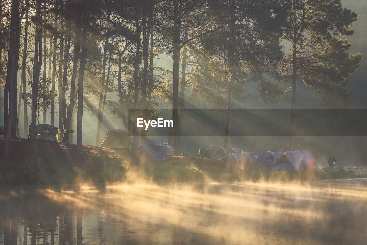 Scenic view of lake in forest during foggy weather