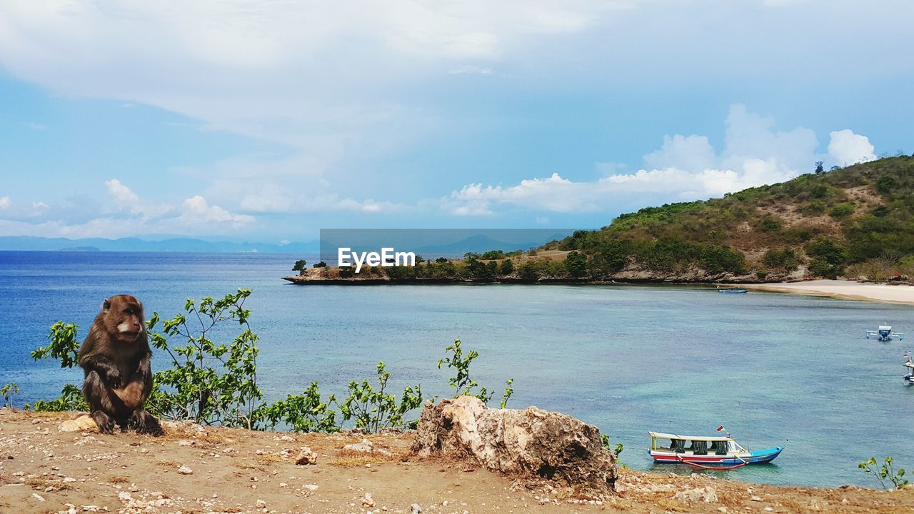 Scenic view of sea against cloudy sky