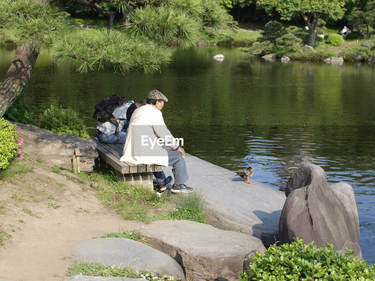 REAR VIEW OF COUPLE ON LAKE BY TREES