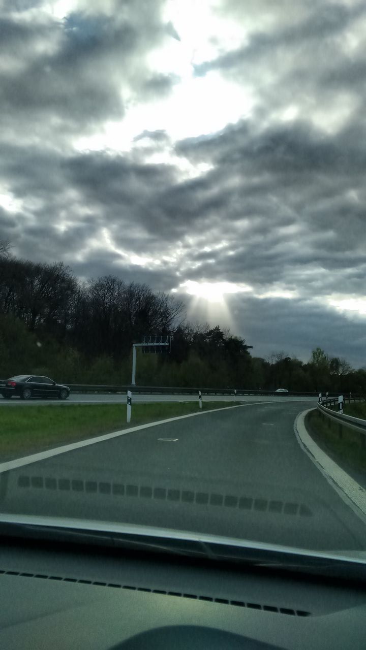 TREES ON FIELD AGAINST SKY