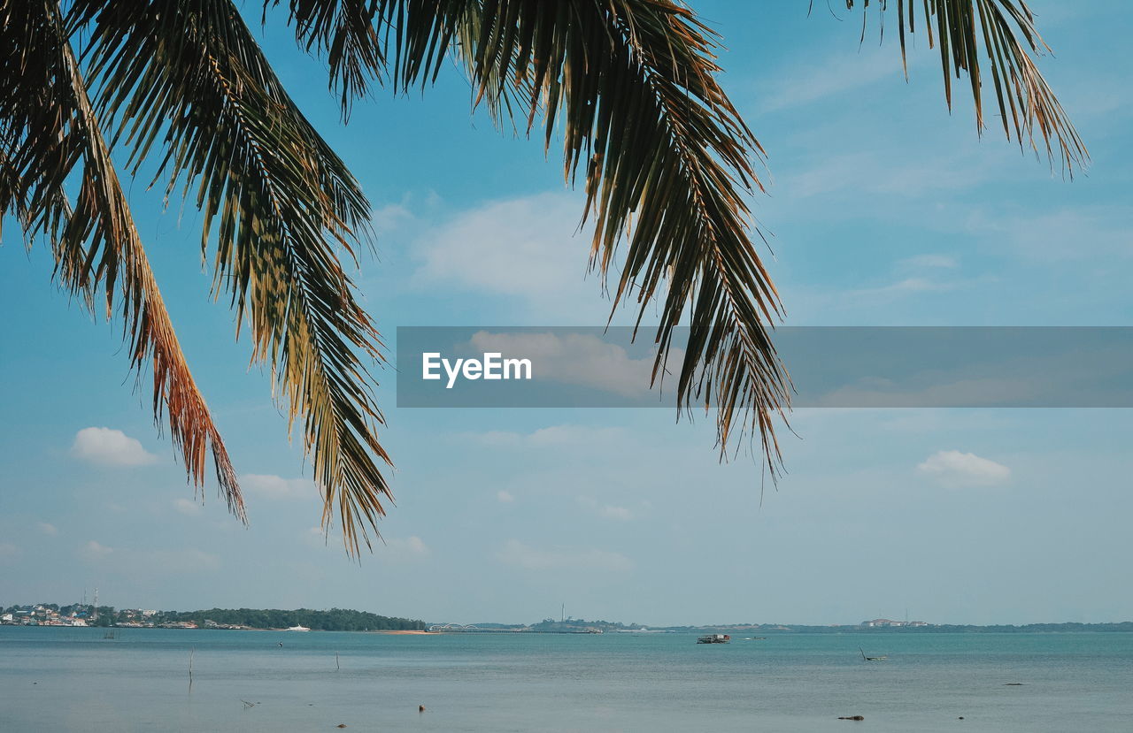 SCENIC VIEW OF BEACH