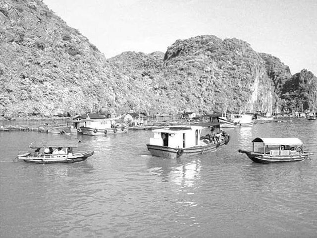 BOATS IN SEA