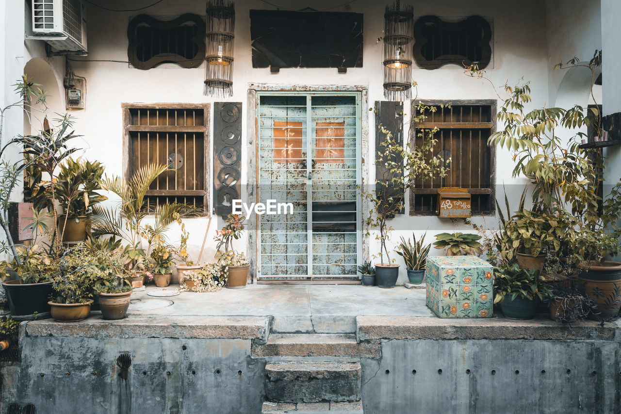 POTTED PLANTS ON BUILDING