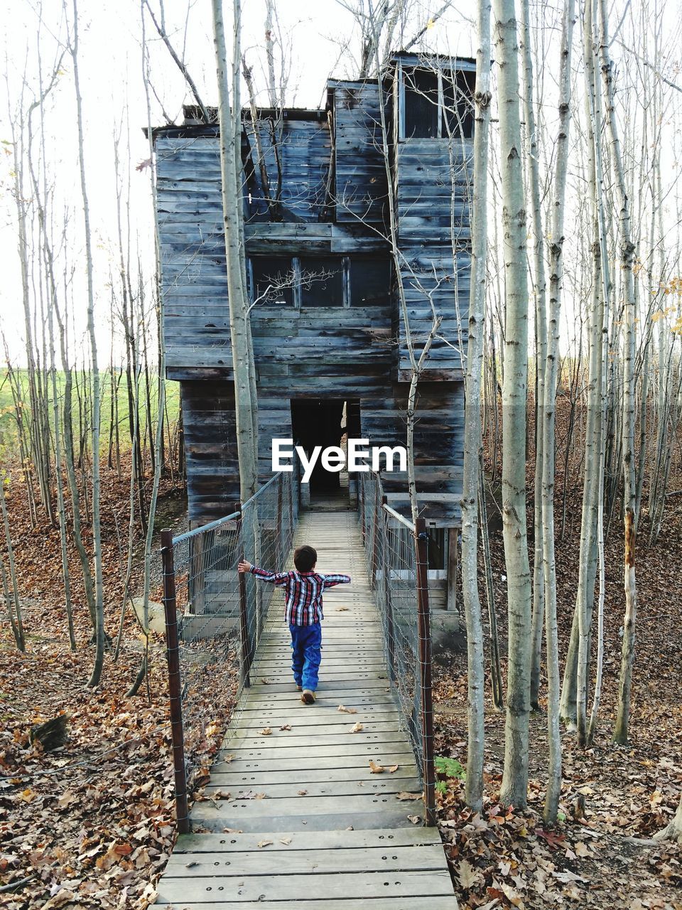 REAR VIEW OF BOY STANDING ON BOARDWALK AGAINST TREES