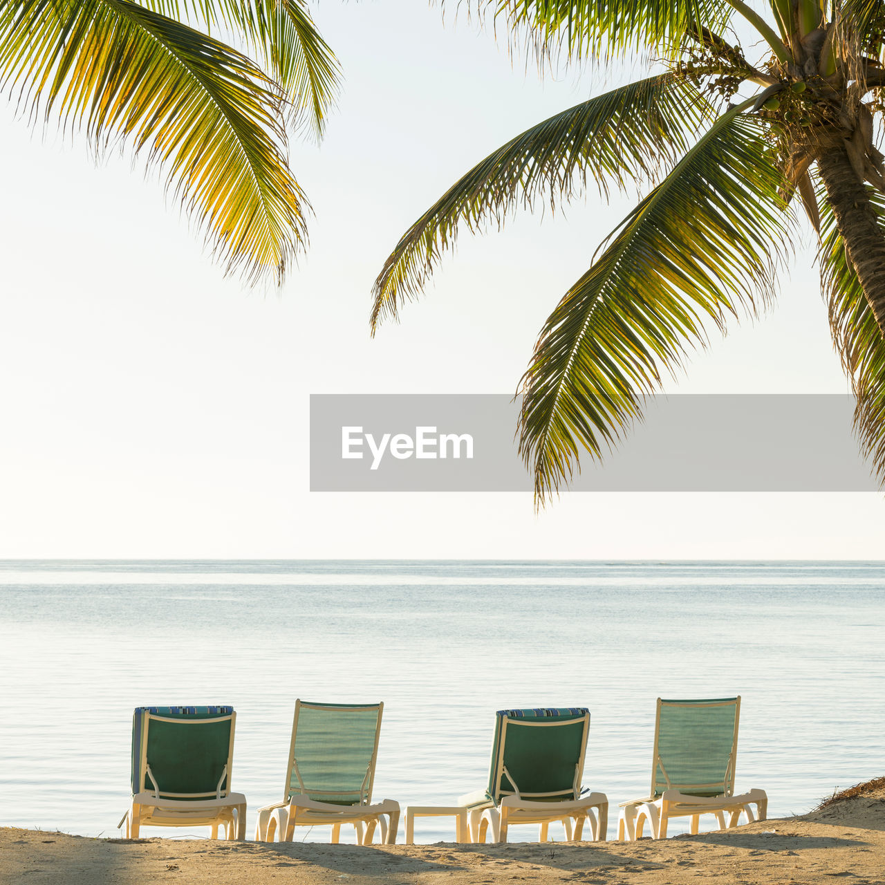 LOUNGE CHAIRS AND PALM TREE ON BEACH AGAINST SKY