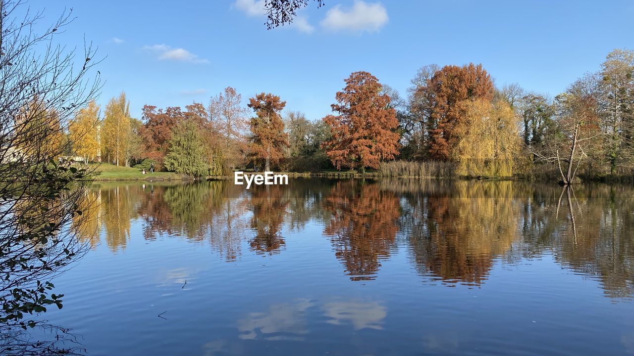 Reflection of trees in lake against sky