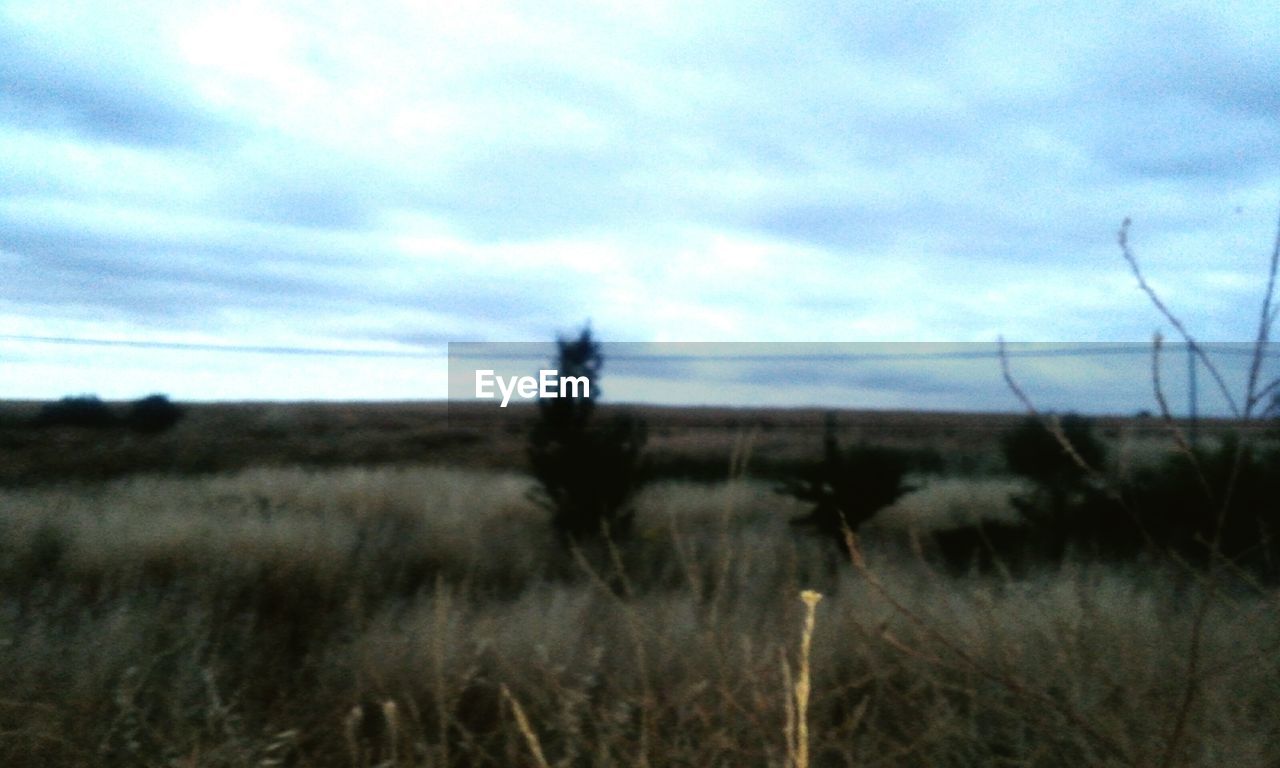 VIEW OF FIELD AGAINST CLOUDY SKY