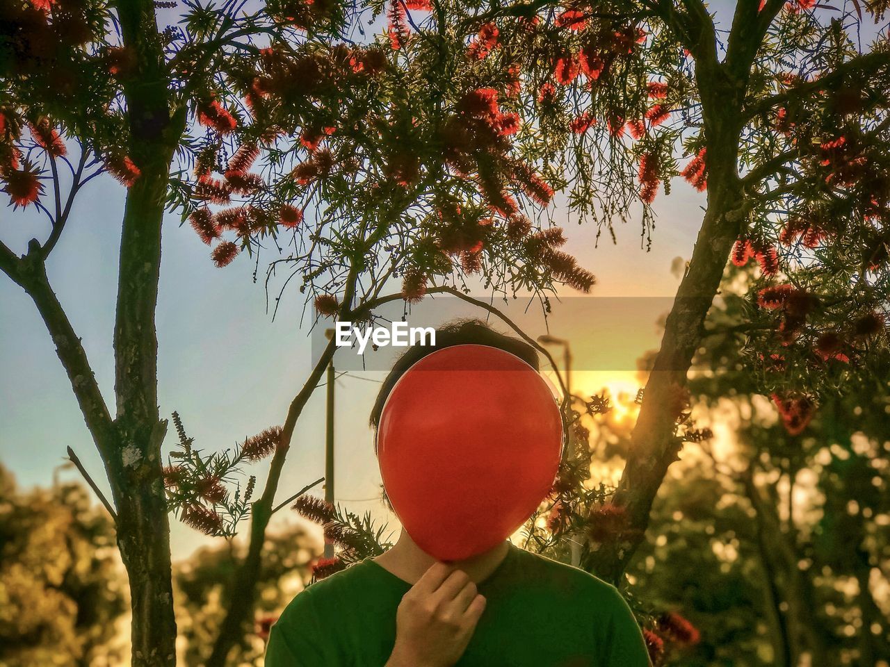 Man holding red balloon against flowering trees and sunset sky.