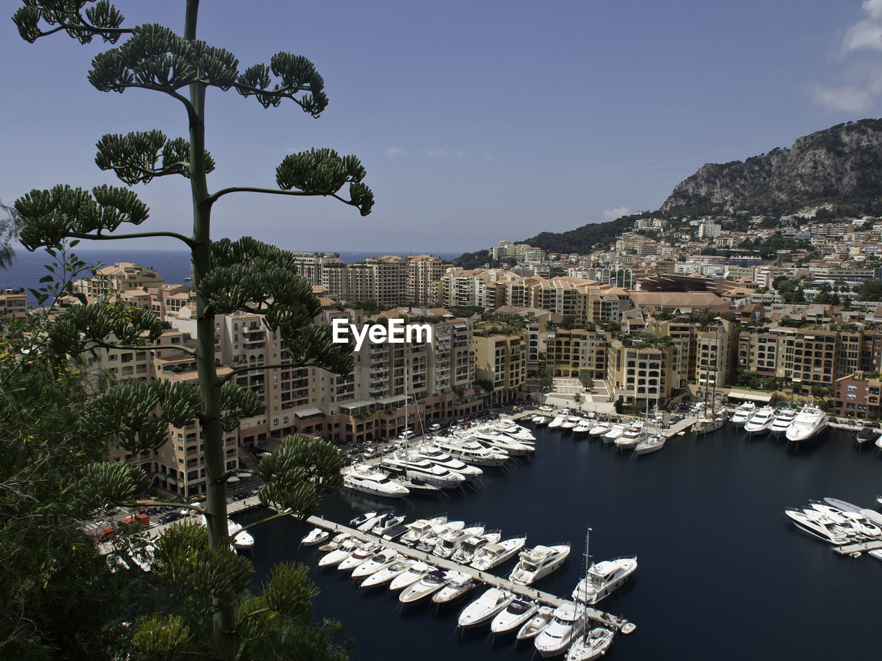 Monaco city