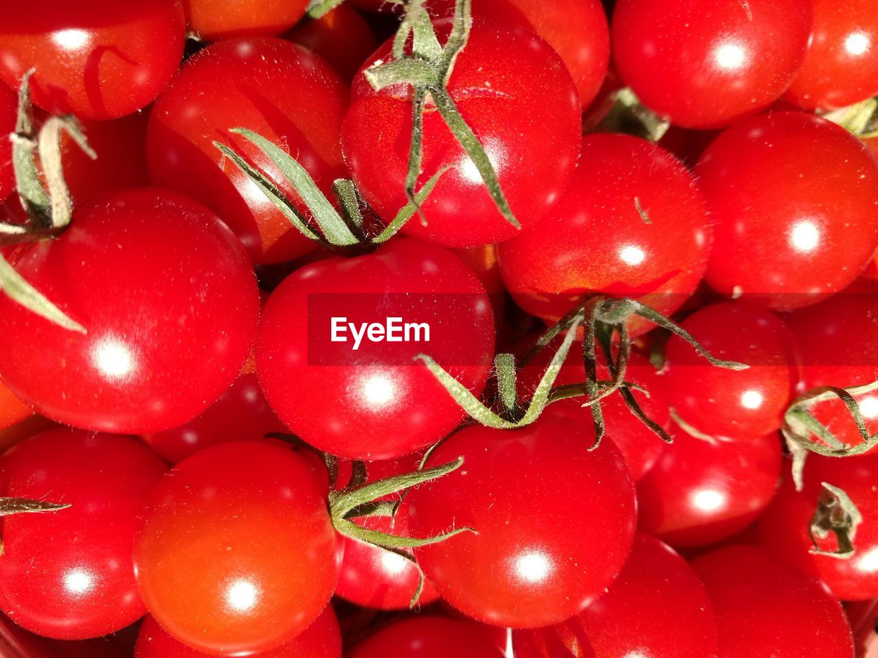 Full frame shot of tomatoes