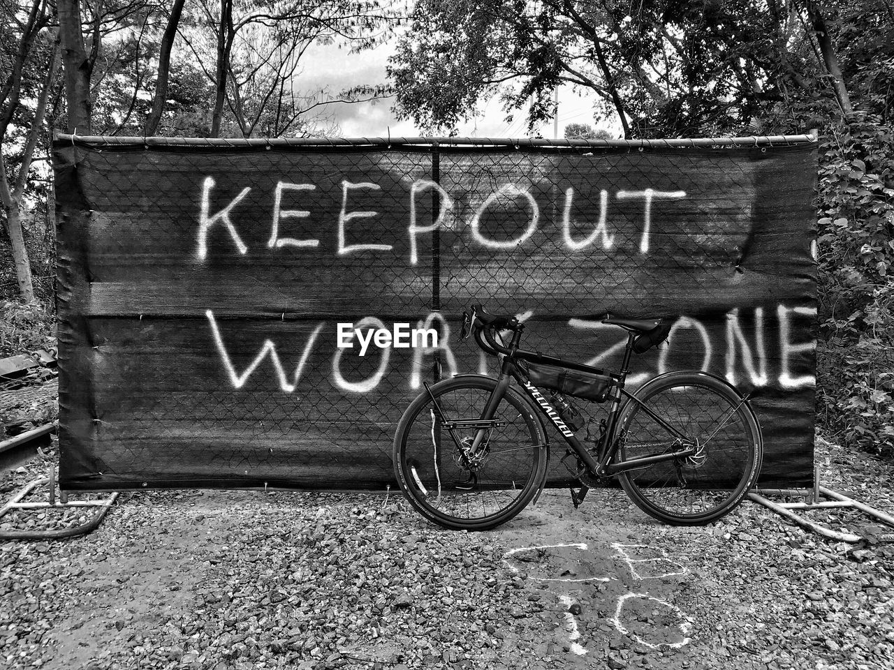 CLOSE-UP OF BICYCLE AGAINST TREES