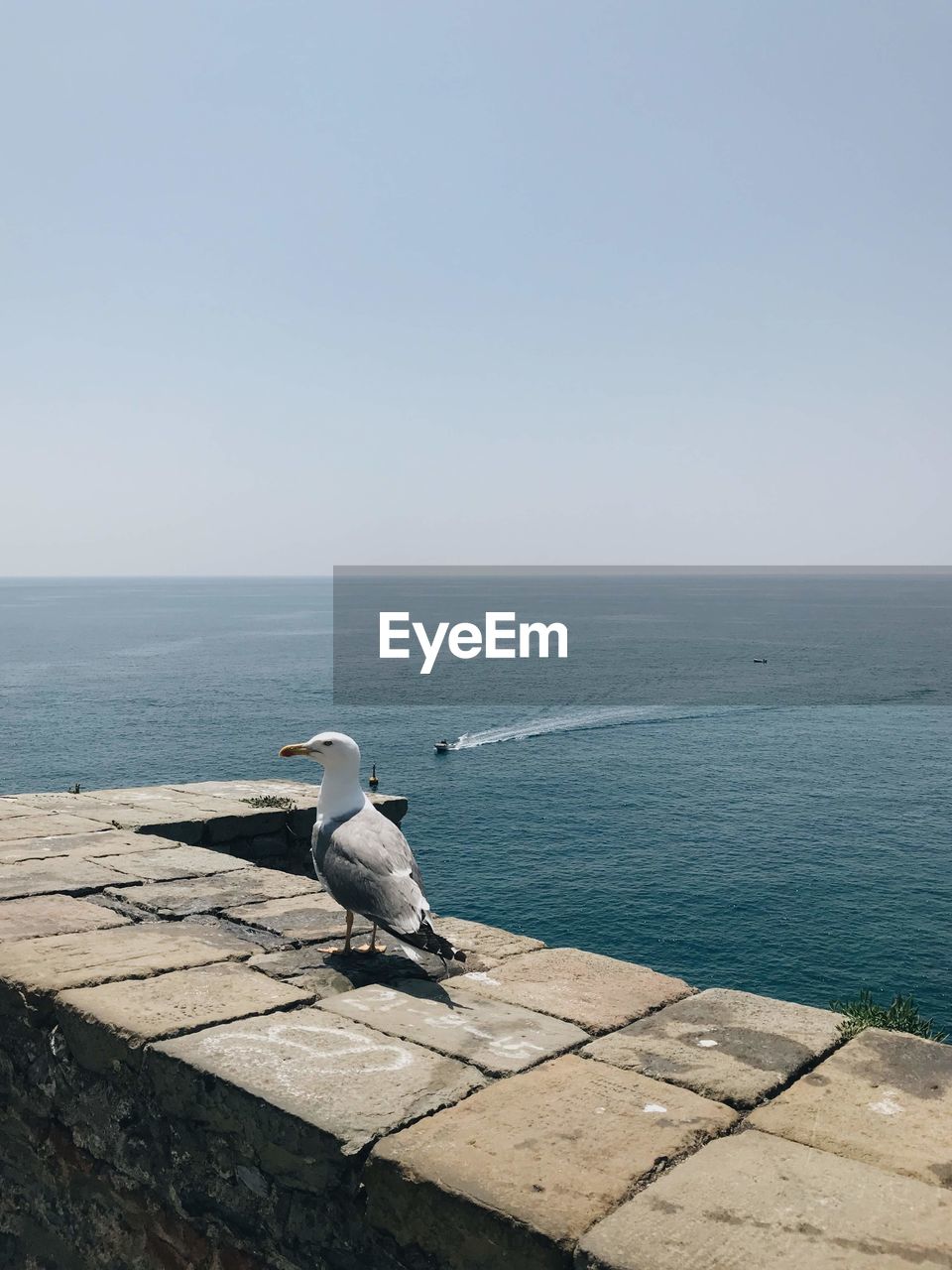 SEAGULL PERCHING ON A SEA SHORE AGAINST SKY