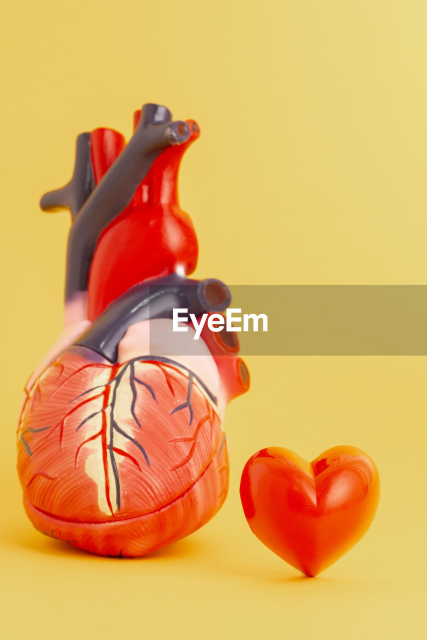 Close-up of anatomical model by heart shape against yellow background