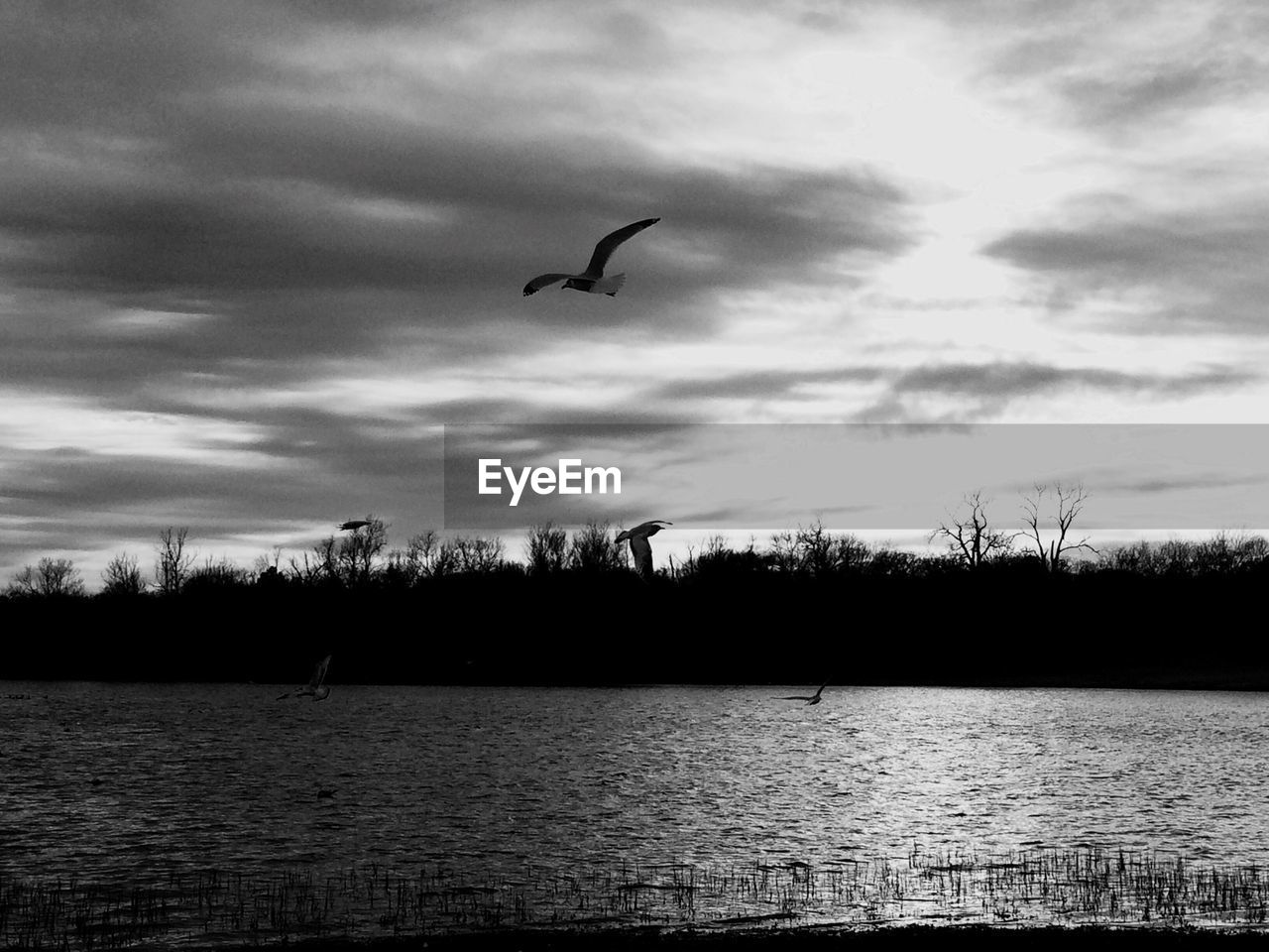 Scenic view of lake against cloudy sky