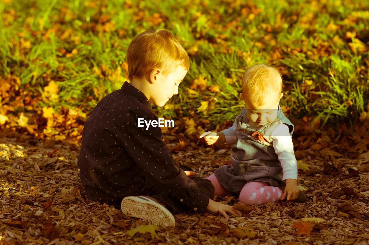 BOY SITTING ON AUTUMN LEAVES